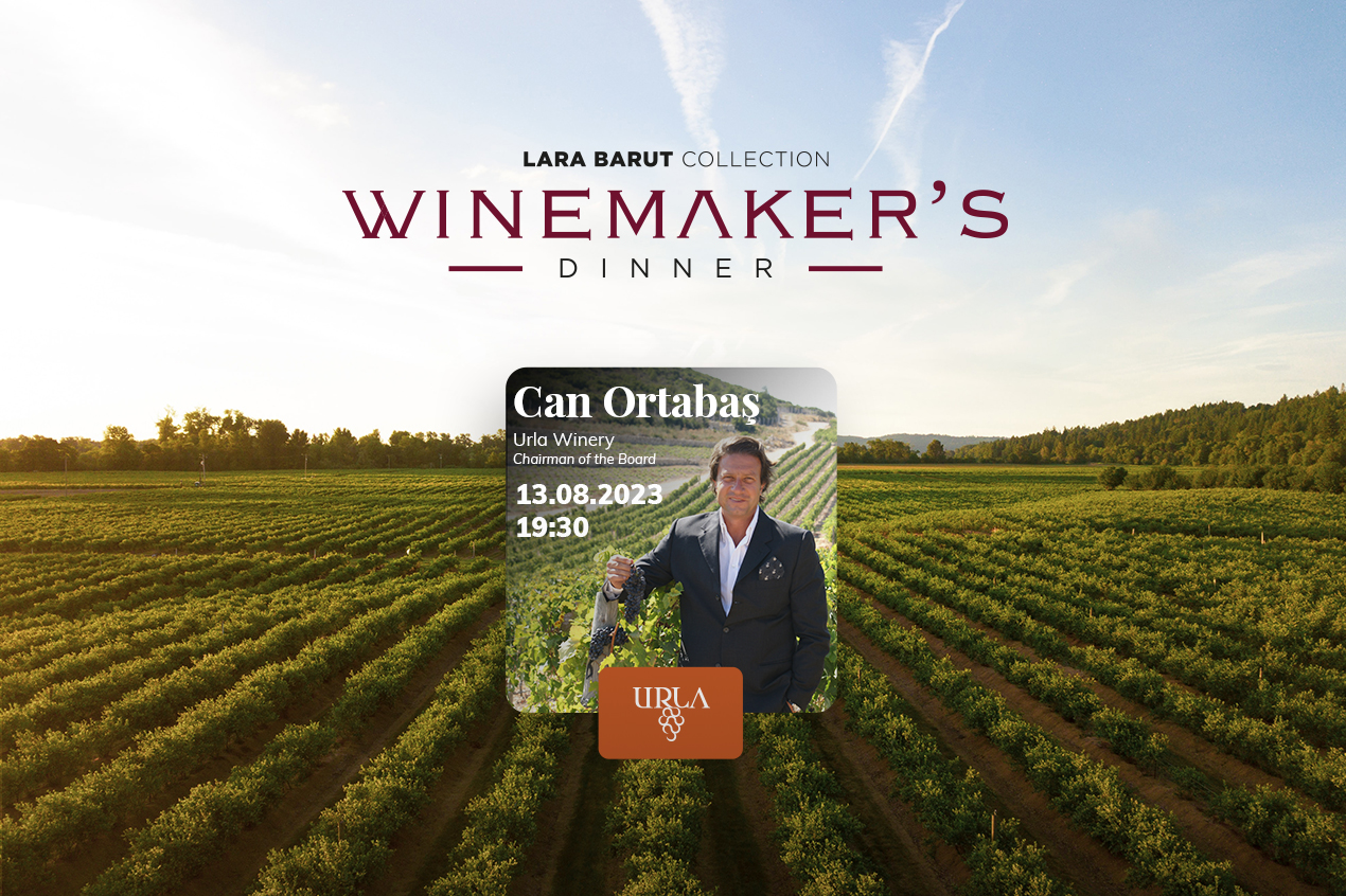 Fortsetzung Des Winemaker's Dinner Mit Dem Treffen Der Weinkellerei Urla